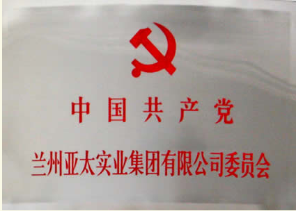 ����������ʱ�������ǲ�ʵҵ�������޹�˾������ί��ר��