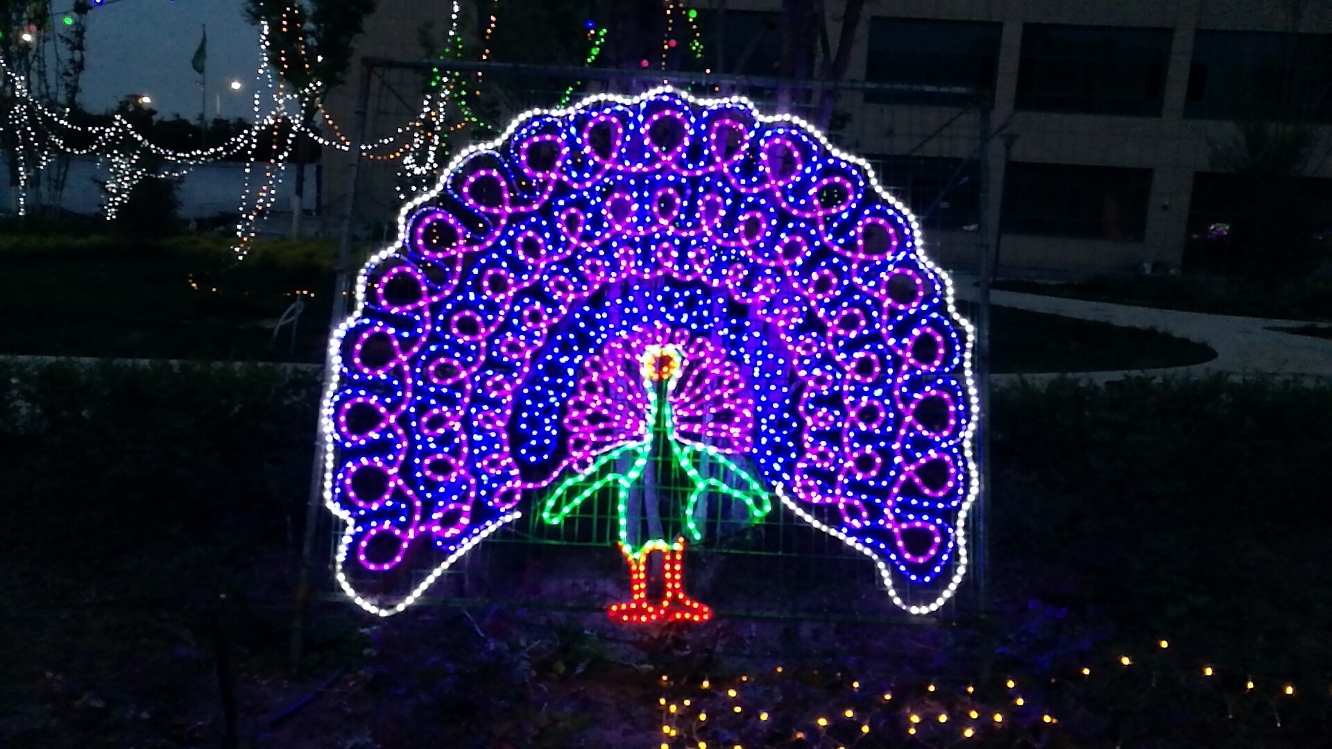 ��������������ʱ�������ǲ���ó�㳡�������ƹ������ڡ��Ӵ��㣡